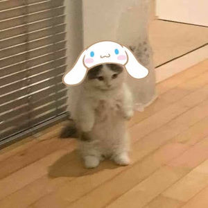 Meet your Posher, Melody